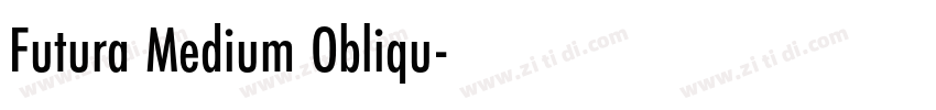 Futura Medium Obliqu字体转换